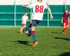 王楚钦,林诗栋以,战胜对手,欧亿体育官网,欧亿体育平台,欧亿体育链接,欧亿体育官方