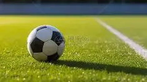 新垣结衣透露与星野源五月步入婚姻殿堂，实则私下恋情长达五年